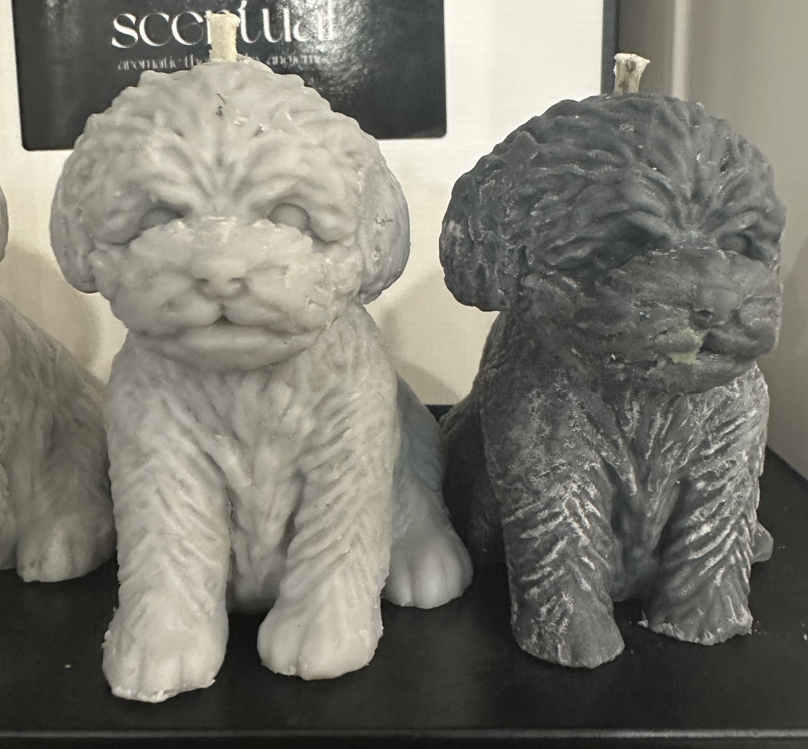 Poodle Candle